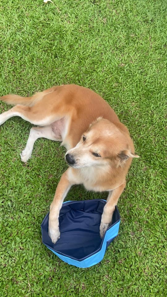 ดับฝันไม่ตรงปก ดับฝันไม่ตรงปก