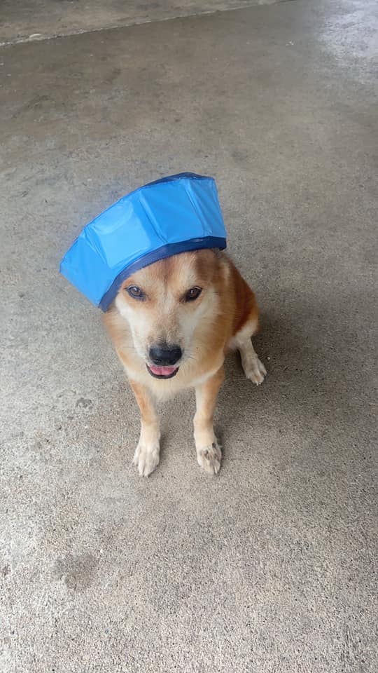 ดับฝันไม่ตรงปก ดับฝันไม่ตรงปก