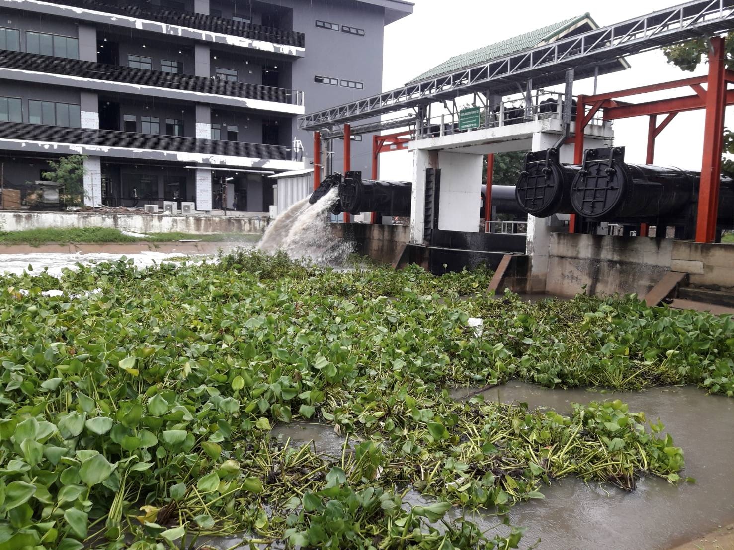 น้ำท่วม น้ำท่วม