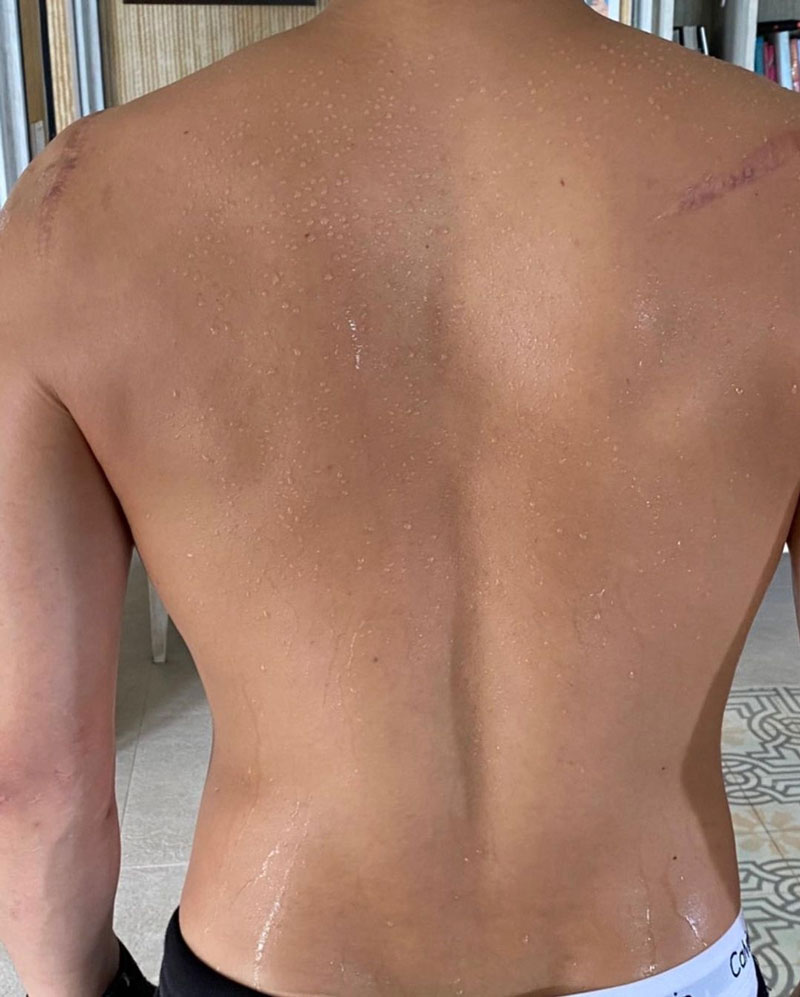 ปลาวาฬ ปลาวาฬ