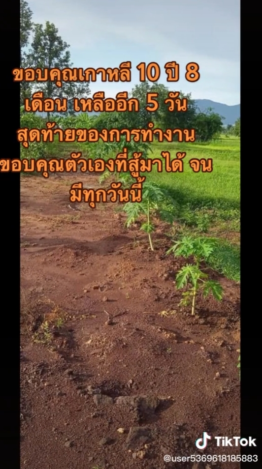 ทำงานเกาหลี ทำงานเกาหลี