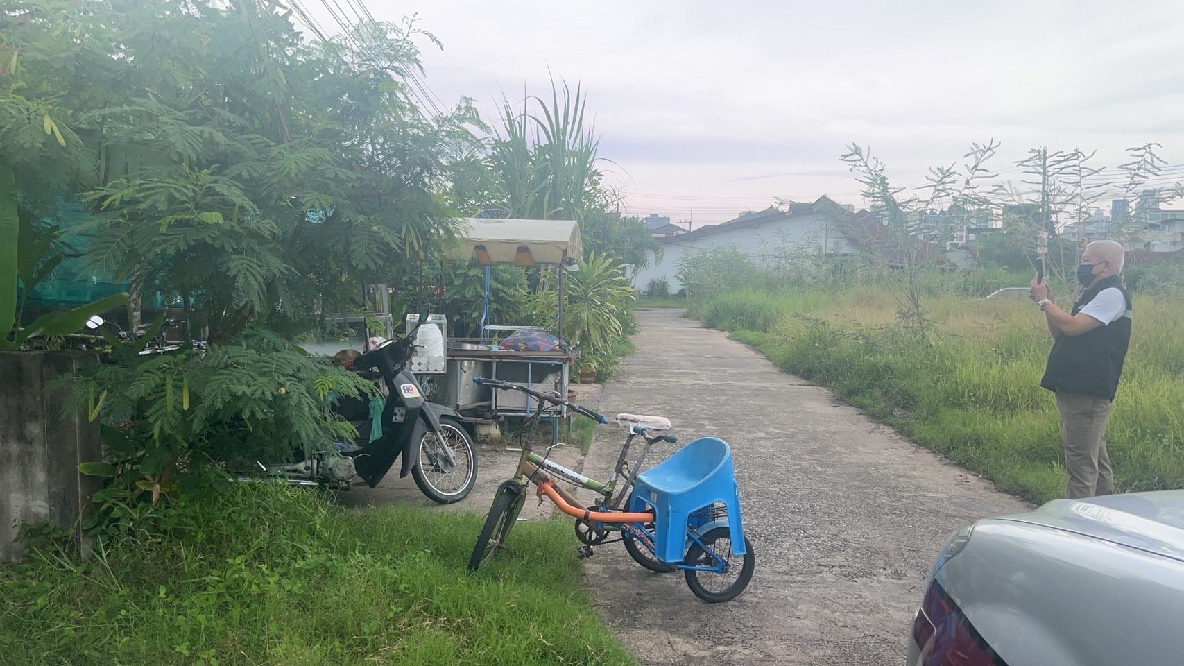 แมวโดนรถชนตาย แมวโดนรถชนตาย