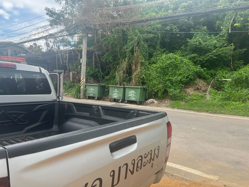 แมวโดนรถชนตาย แมวโดนรถชนตาย