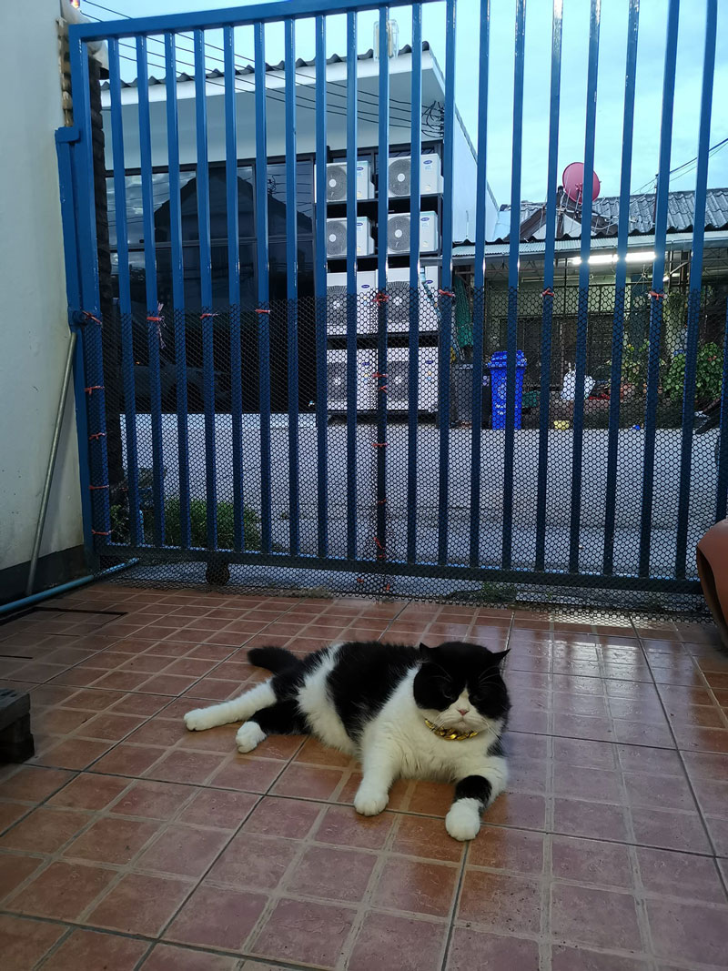 ปัญหาเพื่อนบ้าน ปัญหาเพื่อนบ้าน