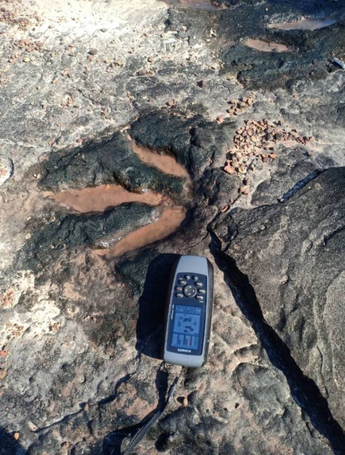 รอยตีนไดโนเสาร์ รอยตีนไดโนเสาร์