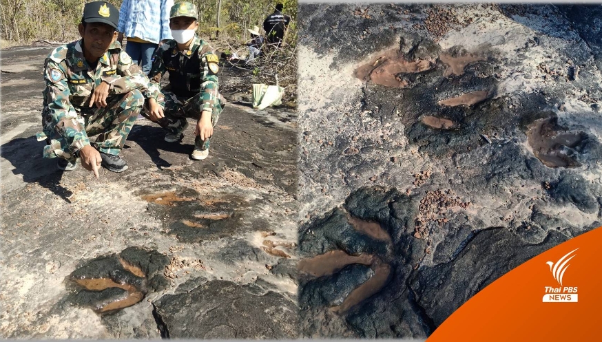 รอยตีนไดโนเสาร์ รอยตีนไดโนเสาร์