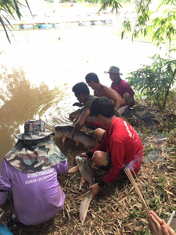 ปล่อยปลา ปล่อยปลา