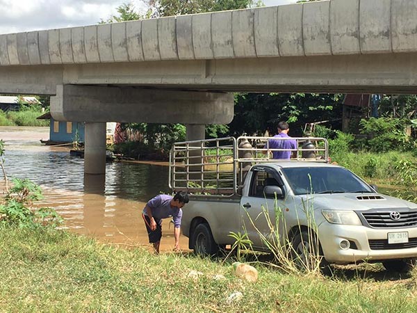 ปล่อยปลา ปล่อยปลา