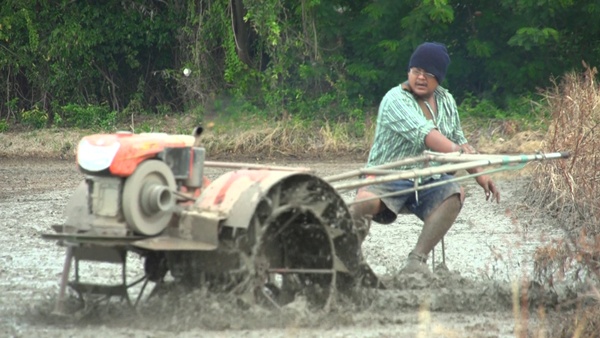 ชาวนาเงินล้าน...คำตอบสุดท้ายของชีวิต ชัยพล ยิ้มไทร