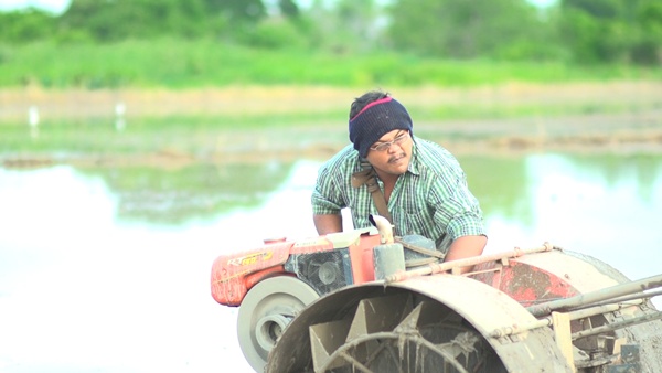 ชาวนาเงินล้าน...คำตอบสุดท้ายของชีวิต ชัยพล ยิ้มไทร