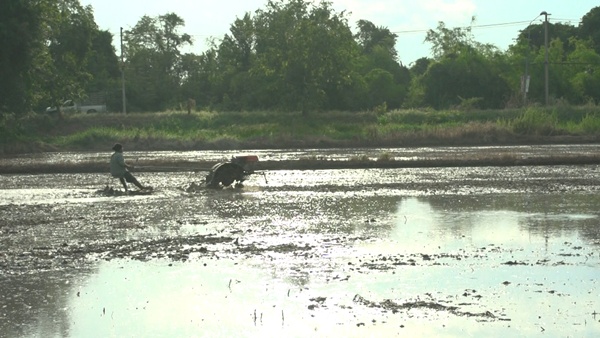 ชาวนาเงินล้าน...คำตอบสุดท้ายของชีวิต ชัยพล ยิ้มไทร