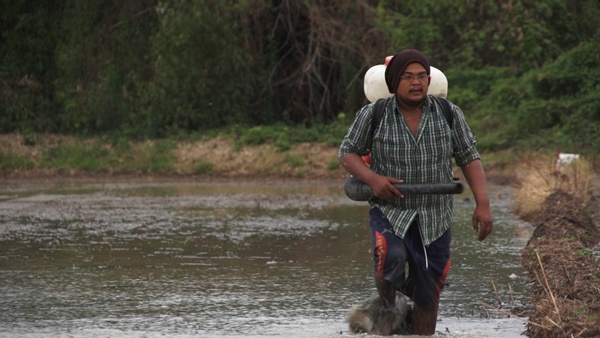 ชาวนาเงินล้าน...คำตอบสุดท้ายของชีวิต ชัยพล ยิ้มไทร