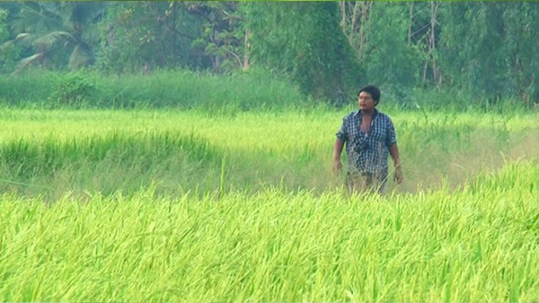 ชาวนาเงินล้าน...คำตอบสุดท้ายของชีวิต ชัยพล ยิ้มไทร