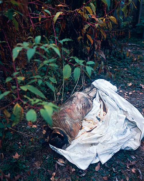 ฟาร์มศพ สถานที่สุดสยองที่ศพถูกทิ้งให้เน่าเปื่อยเพื่อ ฟาร์มศพ สถานที่สุดสยองที่ศพถูกทิ้งให้เน่าเปื่อยเพื่อ