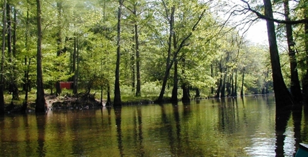เปิด 18 สถานที่สุดแฟนตาซีจากการ์ตูนดิสนีย์ที่มีอยู่จริง เปิด 18 สถานที่สุดแฟนตาซีจากการ์ตูนดิสนีย์ที่มีอยู่จริง