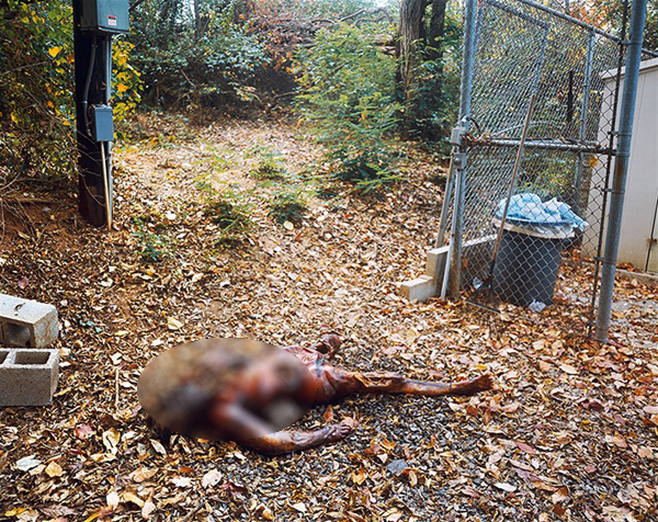 ฟาร์มศพ สถานที่สุดสยองที่ศพถูกทิ้งให้เน่าเปื่อยเพื่อ ฟาร์มศพ สถานที่สุดสยองที่ศพถูกทิ้งให้เน่าเปื่อยเพื่อ