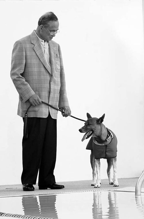 เรื่องราวสุดประทับใจ เมื่อครั้งในหลวงทรงพาคุณทองแดงมารักษา เรื่องราวสุดประทับใจ เมื่อครั้งในหลวงทรงพาคุณทองแดงมารักษา