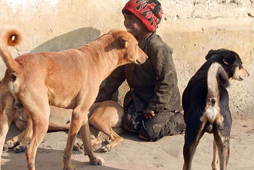 เผยภาพน่าสลด! เด็กชายอินเดียดูดนมหมาประทังชีวิต