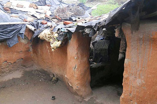 เผยภาพน่าสลด! เด็กชายอินเดียดูดนมหมาประทังชีวิต