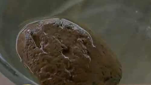 หินลอยน้ำได้ ที่นครพนม อ.เจษฎา แจงเป็นหินพัมมิส หินลอยน้ำได้ ที่นครพนม อ.เจษฎา แจงเป็นหินพัมมิส