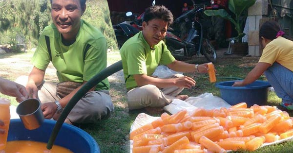 น้ำส้มปลอม น้ำส้มปลอม