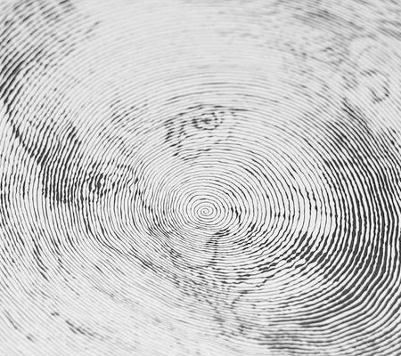 ภาพวาดวงก้นหอย ความสวยที่มาพร้อมความอดทน