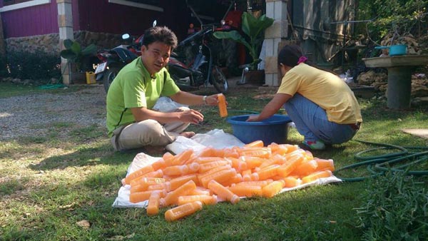 น้ำส้มปลอม น้ำส้มปลอม