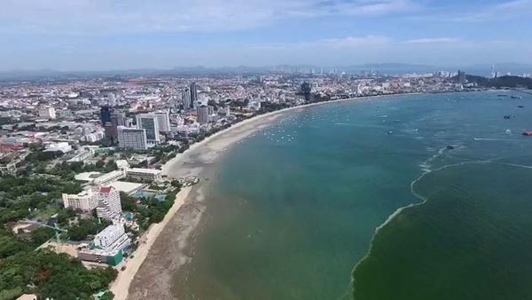 แพลงก์ตอนบลูม แพลงก์ตอนบลูม