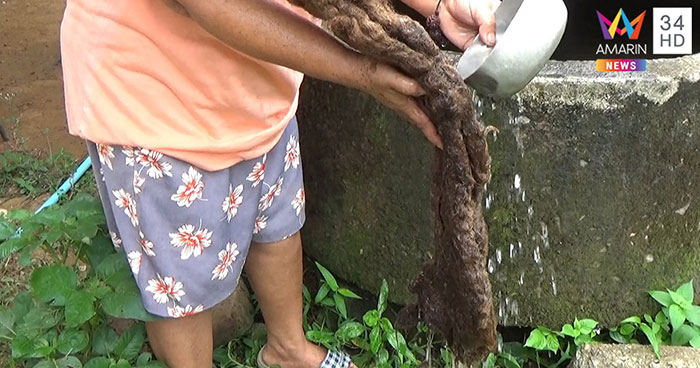 ผมผีช่อ ผมผีช่อ