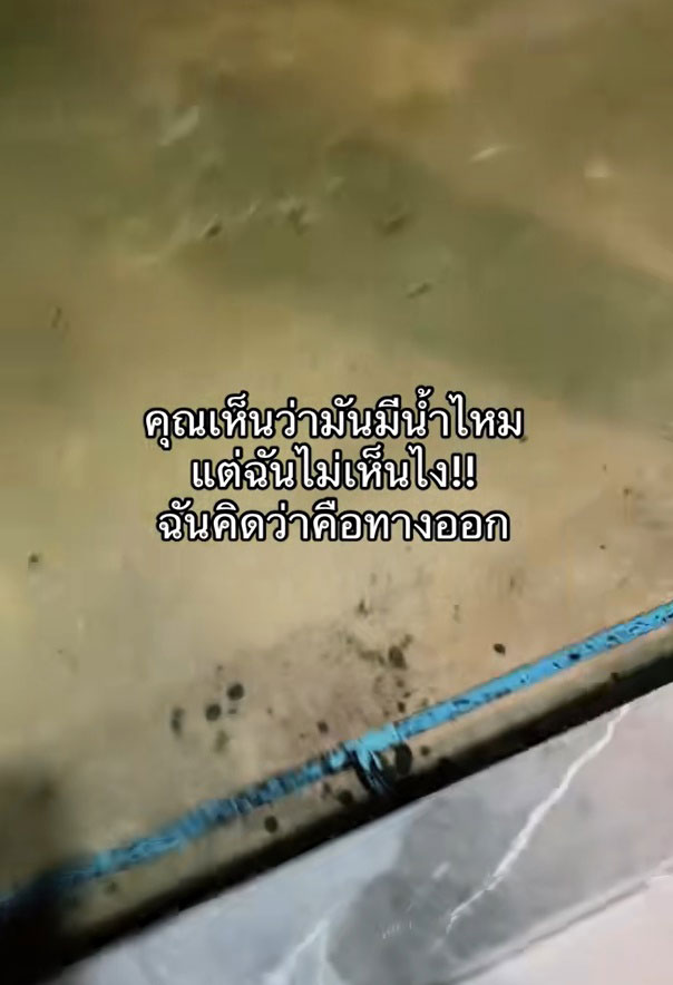 น้ำนิ่ง น้ำนิ่ง