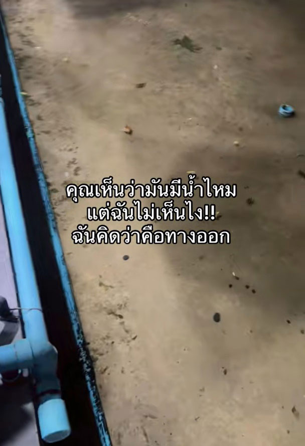 น้ำนิ่ง น้ำนิ่ง