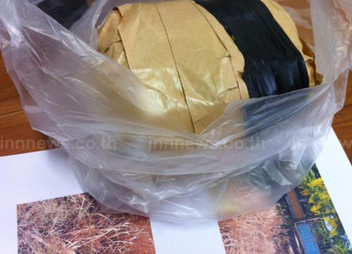 นักโทษเล่นเฟซบุ๊ก นักโทษเล่นเฟซบุ๊ก