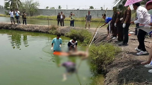 บ่อปลา บ่อปลา