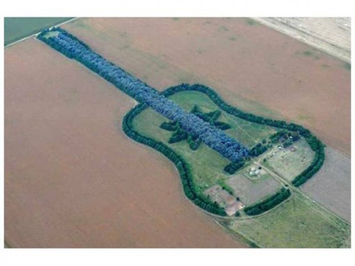 สวนกีตาร์ สวนกีตาร์