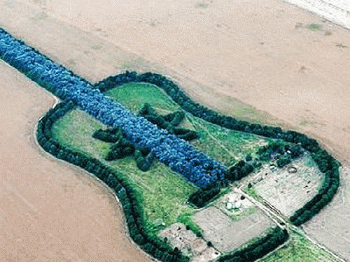 สวนกีตาร์ สวนกีตาร์