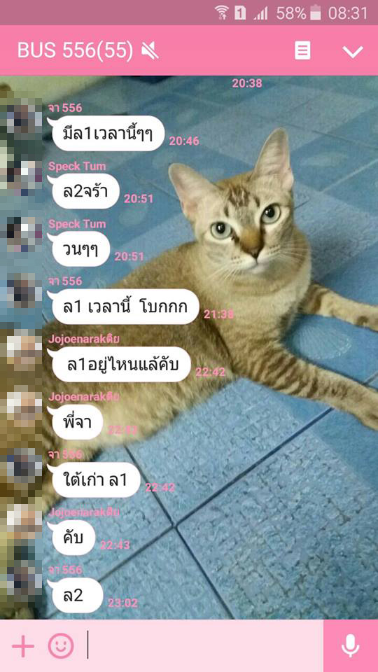 รถเมล์ รถเมล์