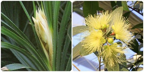 สาระวารี สาระสะมา สาระวารี สาระสะมา