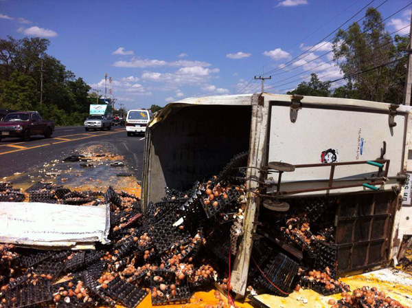 ไข่แตก ไข่แตก