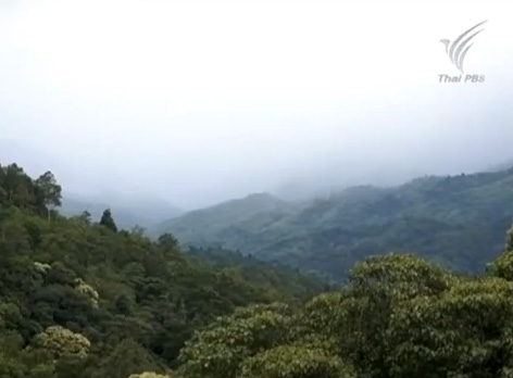 เขื่อนแม่วงก์ เขื่อนแม่วงก์