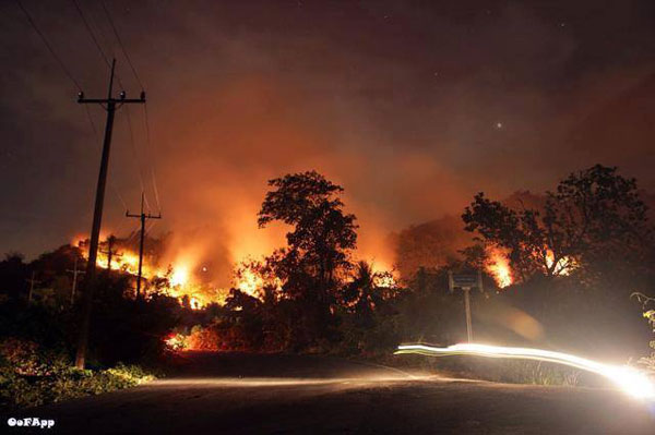 ไฟป่านครนายก ไฟป่านครนายก