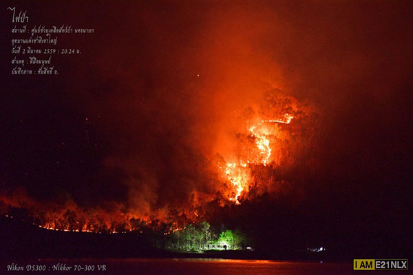 ไฟป่านครนายก ไฟป่านครนายก