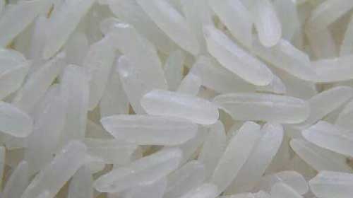 ข้าวปลอม ข้าวปลอม