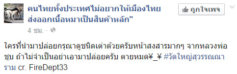 ทำบุญปล่อยเต่า ทำบุญปล่อยเต่า