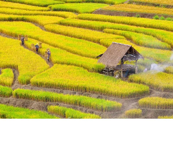 โครงการภาพถ่ายแห่งแผ่นดิน โครงการภาพถ่ายแห่งแผ่นดิน