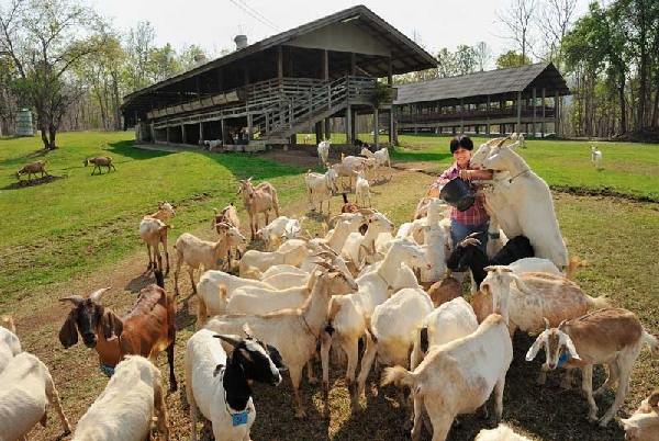 โครงการภาพถ่ายแห่งแผ่นดิน โครงการภาพถ่ายแห่งแผ่นดิน