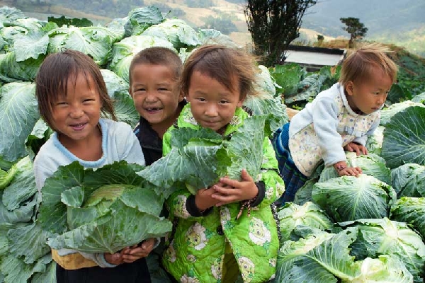 โครงการภาพถ่ายแห่งแผ่นดิน โครงการภาพถ่ายแห่งแผ่นดิน