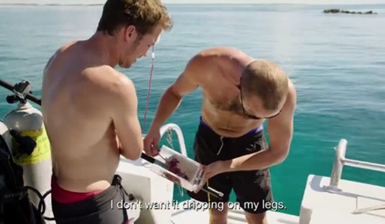 เมื่อนำเลือดมนุษย์ไปสาดล่อฉลาม เมื่อนำเลือดมนุษย์ไปสาดล่อฉลาม