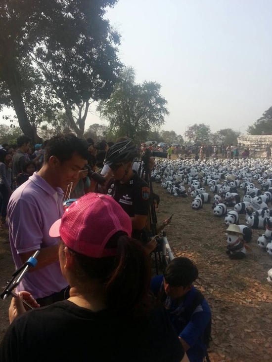 ช้างไทยทาสีเหมือนหมีแพนด้า ช้างไทยทาสีเหมือนหมีแพนด้า