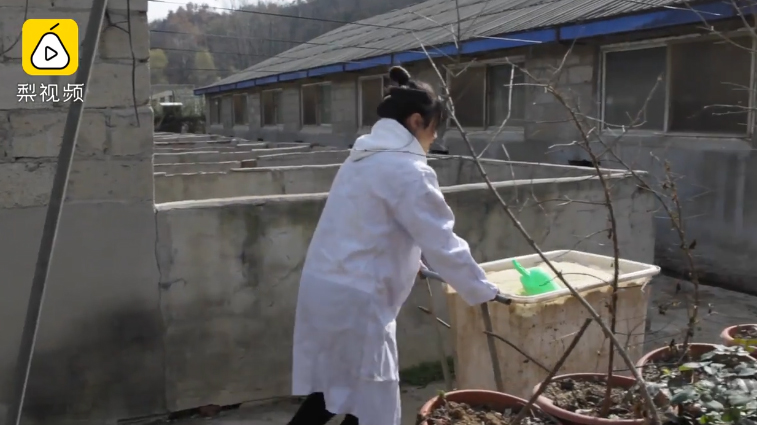 คนเลี้ยงหมู คนเลี้ยงหมู