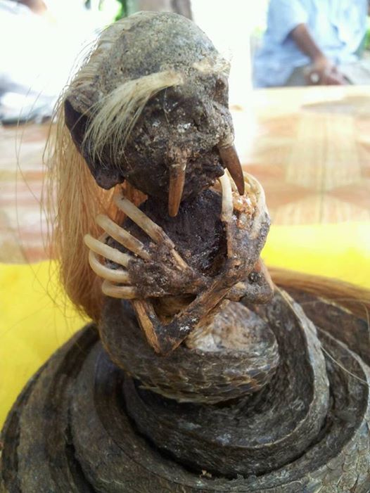 อ.เจษฎา ชี้ ข่าวหัวเป็นคนตัวเป็นงู ที่แท้คือสิ่งนี้... ? อ.เจษฎา ชี้ ข่าวหัวเป็นคนตัวเป็นงู ที่แท้คือสิ่งนี้... ?